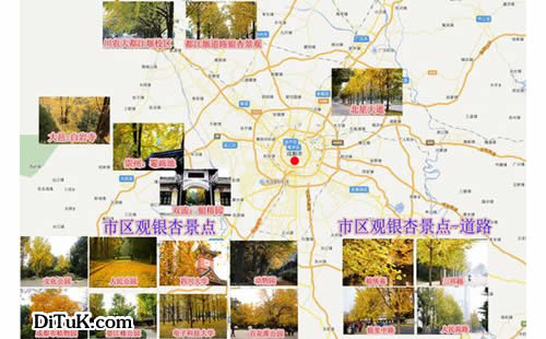 一张磨损十年的齐齐哈尔地图,藏着记忆与城市变迁的温暖经纬